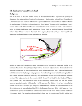 Conch Reef Survey Depth