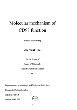 Molecular Mechanism of CD98 Function