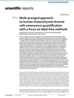 Multi-Pronged Approach to Human Mesenchymal Stromal Cells