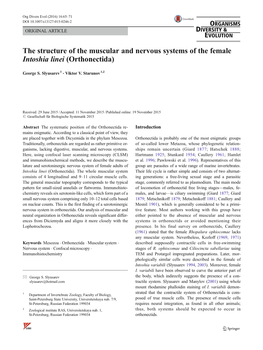 The Structure of the Muscular and Nervous Systems of the Female Intoshia Linei (Orthonectida)