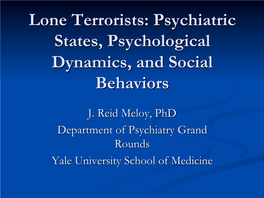 Lone Terrorists: Psychiatric States, Psychological Dynamics, and Social Behaviors