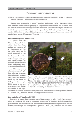 Taxonomic Utricularia News