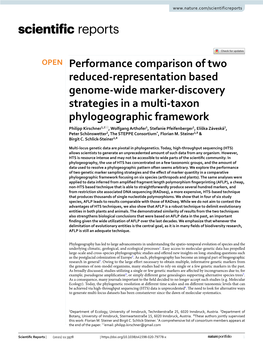 Performance Comparison of Two Reduced-Representation Based