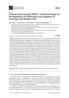 Calcium Entry Through TRPV1: a Potential Target for the Regulation of Proliferation and Apoptosis in Cancerous and Healthy Cells