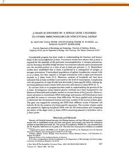 J Chain Is Encoded by a Single Gene Unlinked to Other Immunoglobulin Structural Genes*