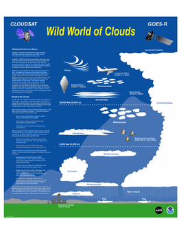 Wild World of Clouds