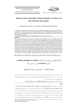 Molecular Study of Ash Psyllids, Psyllopsis (Hemiptera: Liviidae), and Their Wolbachia Endosymbiont