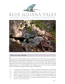 Blue Iguana Tales Volume 3, Number 2 – 2005 Spring Edition – Quarterly Update on the Blue Iguana Recovery Program John Binns 2005 Binns John ©