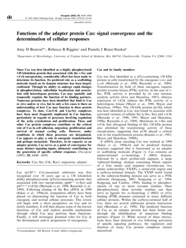 Functions of the Adapter Protein Cas: Signal Convergence and the Determination of Cellular Responses