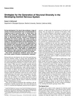 Strategies for the Generation of Neuronal Diversity in the Developing Central Nervous System