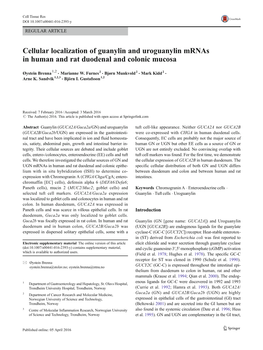 Cellular Localization of Guanylin and Uroguanylin Mrnas in Human and Rat Duodenal and Colonic Mucosa