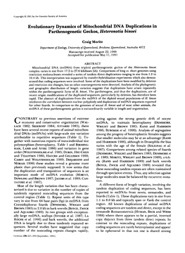 Evolutionary Dynamics of Mitochondrial DNA Duplications in Parthenogenetic Geckos, Heteronotia Binoei