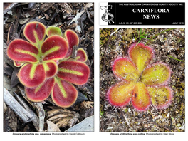 Carniflora News