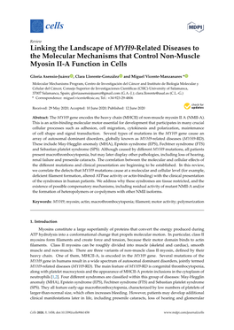 Linking the Landscape of MYH9-Related Diseases to the Molecular Mechanisms That Control Non-Muscle Myosin II-A Function in Cells