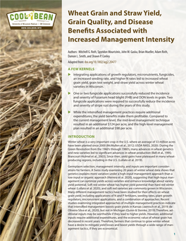 Wheat Grain and Straw Yield, Grain Quality, and Disease Benefits Associated with Increased Management Intensity