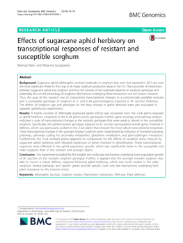 Effects of Sugarcane Aphid Herbivory on Transcriptional Responses of Resistant and Susceptible Sorghum Mahnaz Kiani* and Adrianna Szczepaniec