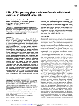 ESE-1/EGR-1 Pathway Plays a Role in Tolfenamic Acid-Induced Apoptosis in Colorectal Cancer Cells