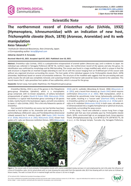 Hymenoptera, Ichneumonidae