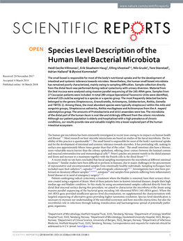 Species Level Description of the Human Ileal Bacterial Microbiota