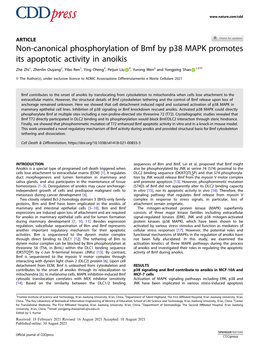 Non-Canonical Phosphorylation of Bmf by P38 MAPK Promotes Its