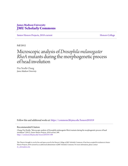 Microscopic Analysis of Drosophila Melanogaster Rhoa Mutants During the Morphogenetic Process of Head Involution Pria Noelle Chang James Madison University