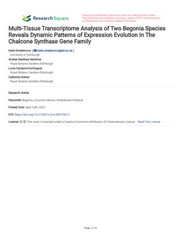 Multi-Tissue Transcriptome Analysis of Two Begonia Species Reveals Dynamic Patterns of Expression Evolution in the Chalcone Synthase Gene Family