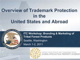 Overview of Trademark Protection in the United States and Abroad