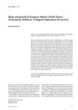 Shape and Growth in European Atlantic Patella Limpets (Gastropoda, Mollusca)