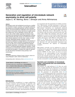 Generation and Regulation of Microtubule Network Asymmetry to Drive Cell Polarity Joyce C