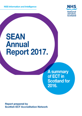 SEAN Annual Report 2017
