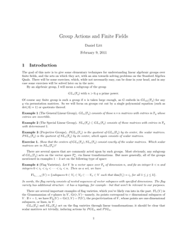 Group Actions and Finite Fields