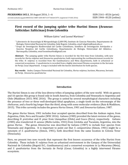 First Record of the Jumping Spider Tribe Huriini Simon (Araneae: Salticidae: Salticinae) from Colombia