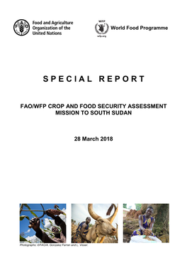 Fao/Wfp Crop and Food Security Assessment Mission to South Sudan
