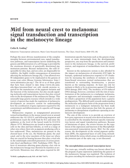 Mitf from Neural Crest to Melanoma: Signal Transduction and Transcription in the Melanocyte Lineage