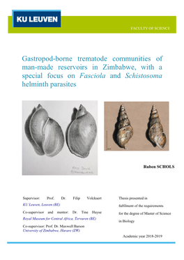 Gastropod-Borne Trematode Communities of Man-Made Reservoirs in Zimbabwe, with a Special Focus on Fasciola and Schistosoma Helminth Parasites