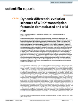 Dynamic Differential Evolution Schemes of WRKY Transcription