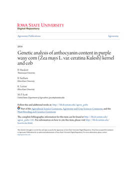 Genetic Analysis of Anthocyanin Content in Purple Waxy Corn (Zea Mays L