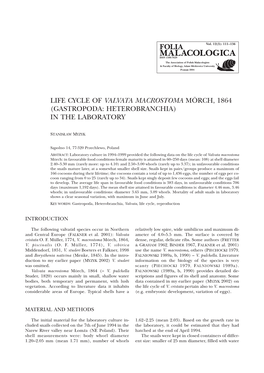 Life Cycle of Valvata Macrostoma Mörch, 1864 (Gastropoda: Heterobranchia) in the Laboratory