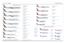 American Eagle Aircraft American Aircraft