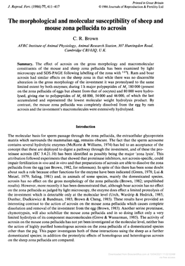 Downloaded from Bioscientifica.Com at 10/04/2021 11:02:02AM Via Free Access Materials and Methods Chemicals