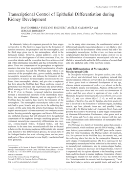 Transcriptional Control of Epithelial Differentiation During Kidney Development