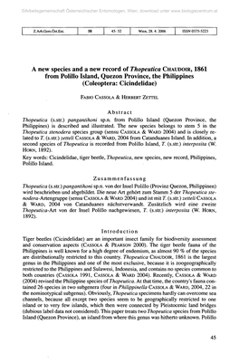 A New Species and a New Record of Thopeutica CHAUDOIR, 1861 from Polillo Island, Quezon Province, the Philippines (Coleoptera: Cicindelidae)