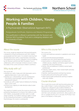 Working with Children, Young People & Families