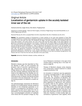 Original Article Localization of Gentamicin Uptake in the Acutely Isolated Inner Ear of the Rat