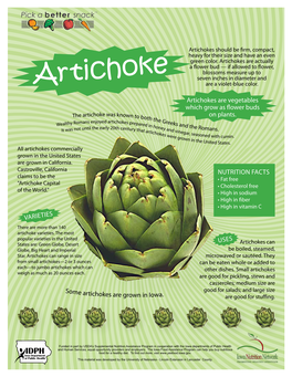 Artichokes Should Be Firm, Compact, Heavy for Their Size and Have an Even Green Color