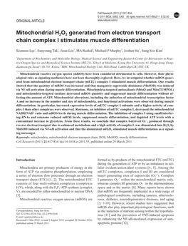 Mitochondrial H2O2 Generated from Electron Transport Chain Complex I Stimulates Muscle Differentiation