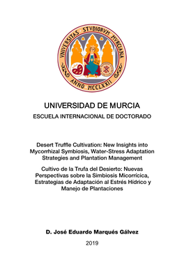 José Eduardo Marqués Gálvez Tesis Doctoral.Pdf