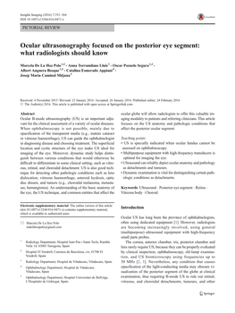 Ocular Ultrasonography Focused on the Posterior Eye Segment: What Radiologists Should Know