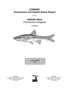 Redside Dace (Clinostomus Elongatus) in the Greater Toronto Area Over Time