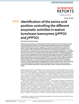 Identification of the Amino Acid Position Controlling the Different